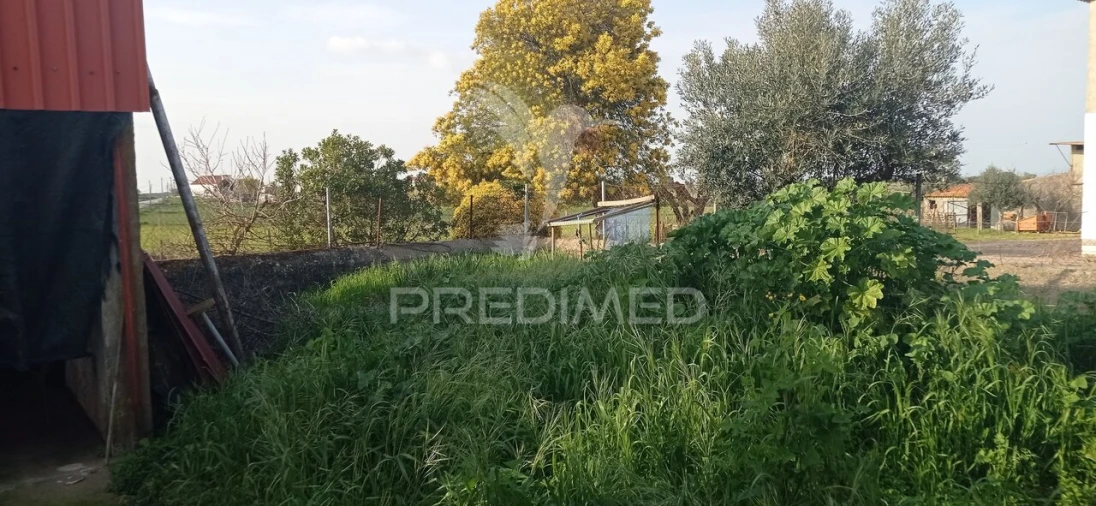 Loja para Venda em São Lourenço de Mamporcão e São Bento de Ana Loura Foto 19