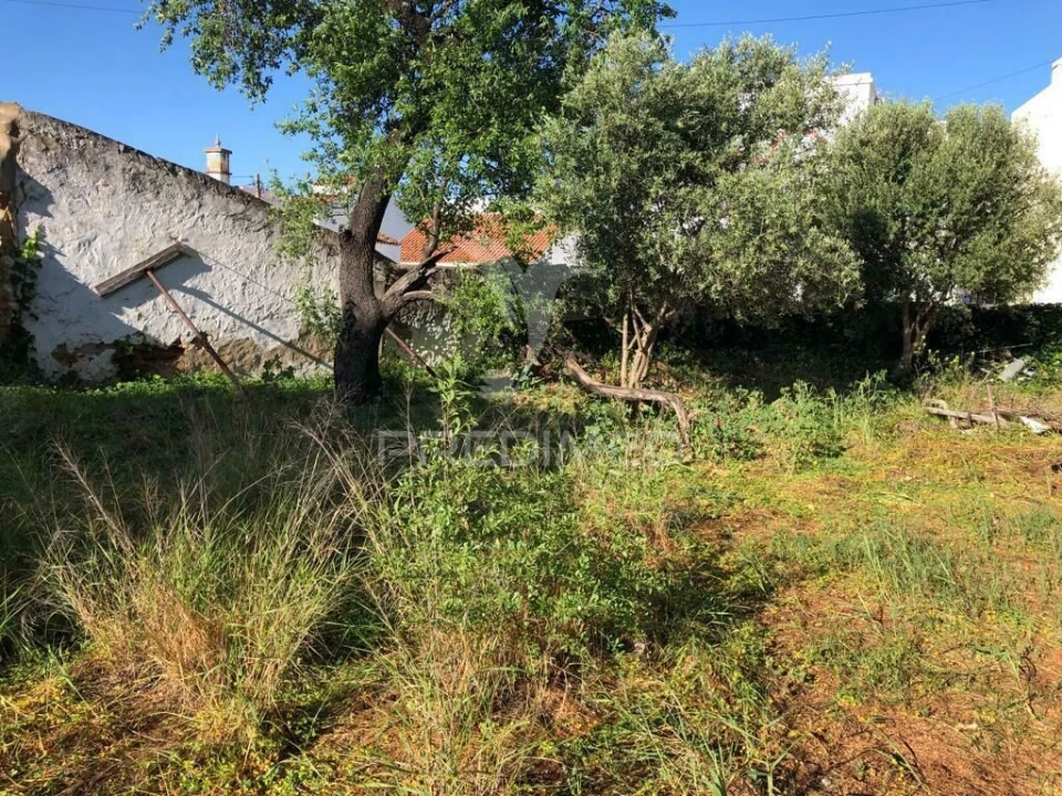 Terreno para Venda em Moncarapacho e Fuseta Foto 8