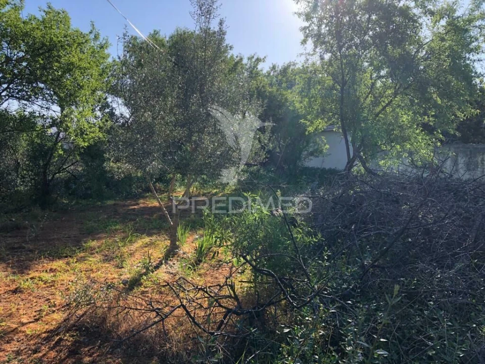 Terreno para Venda em Moncarapacho e Fuseta Foto 11