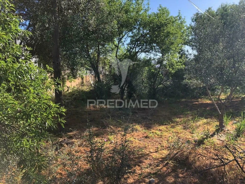 Terreno para Venda em Moncarapacho e Fuseta Foto 1