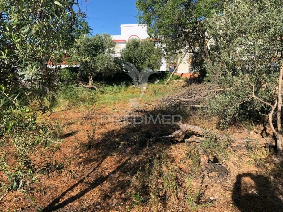 Terreno para Venda em Moncarapacho e Fuseta Foto 4