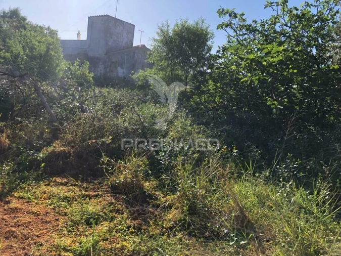 Terreno para Venda em Moncarapacho e Fuseta Foto 10