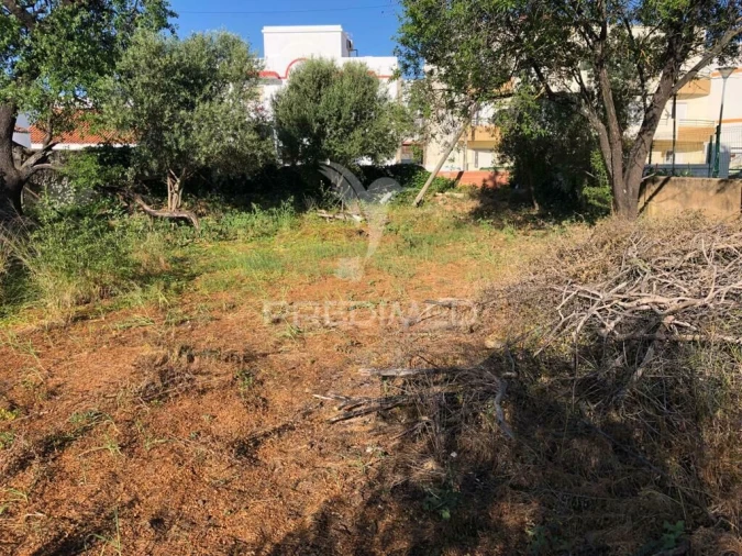 Terreno para Venda em Moncarapacho e Fuseta Foto 7