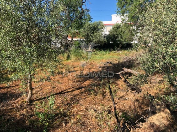 Terreno para Venda em Moncarapacho e Fuseta Foto 3