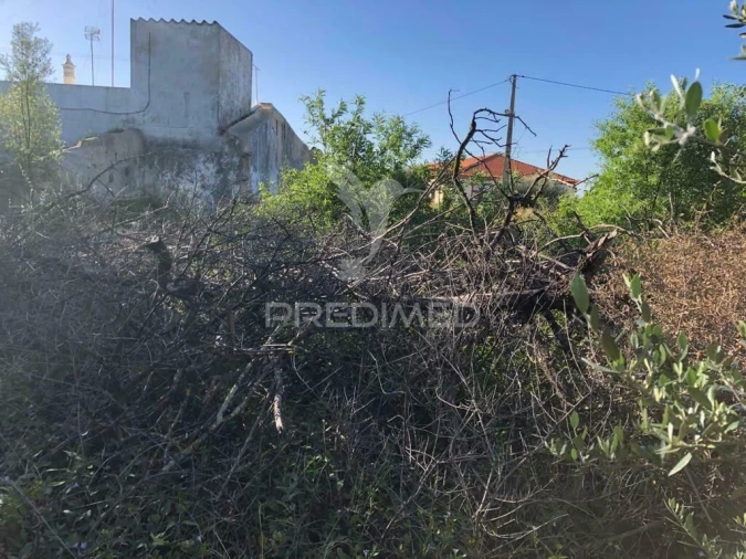 Terreno para Venda em Moncarapacho e Fuseta Foto 2
