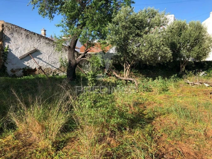 Terreno para Venda em Moncarapacho e Fuseta Foto 8