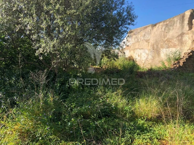 Terreno para Venda em Moncarapacho e Fuseta Foto 9