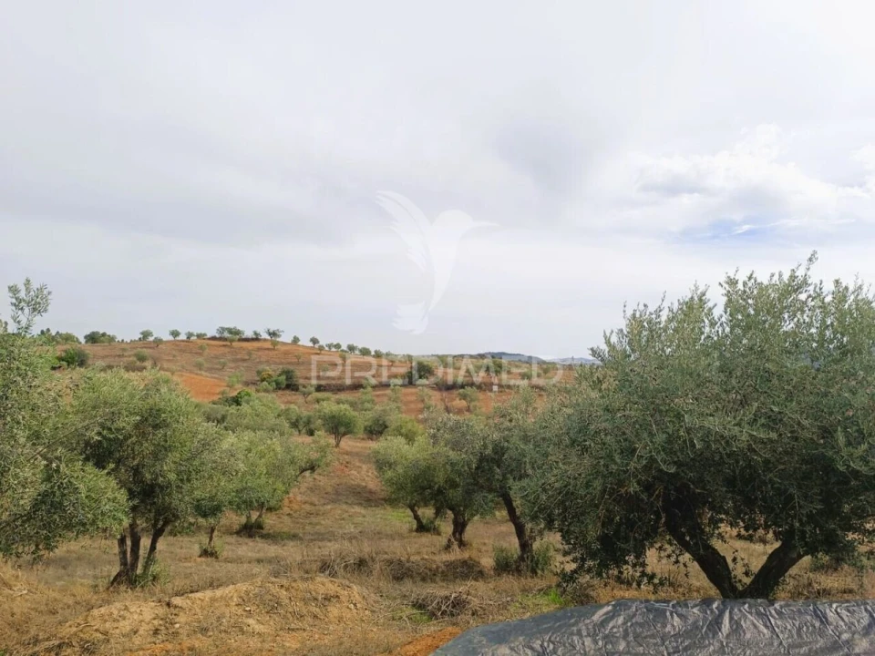 Moradia T2 para Venda em Amieira e Alqueva Foto 29