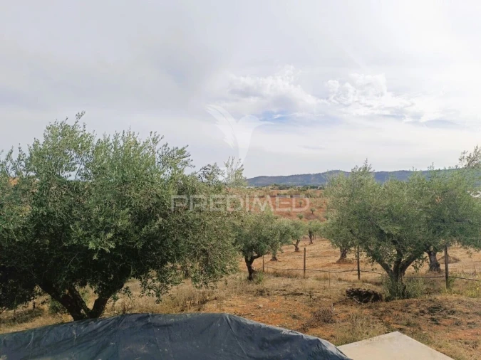 Moradia T2 para Venda em Amieira e Alqueva Foto 30