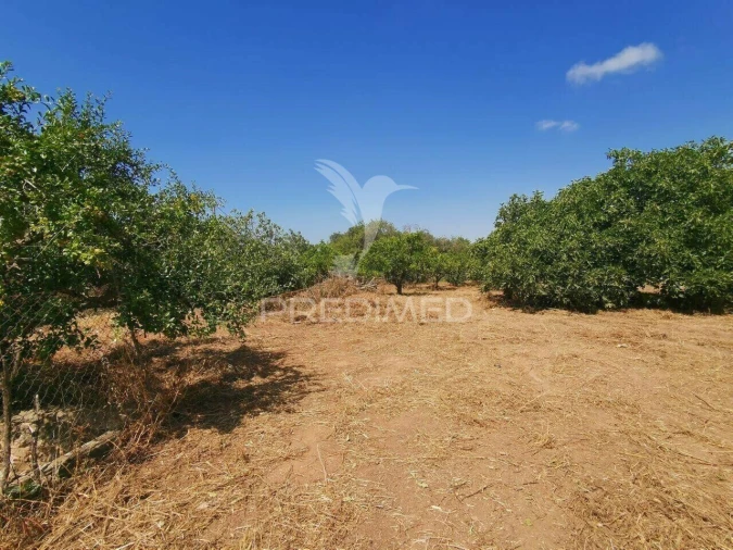 Moradia T4 para Venda em Loule (São Clemente) Foto 10