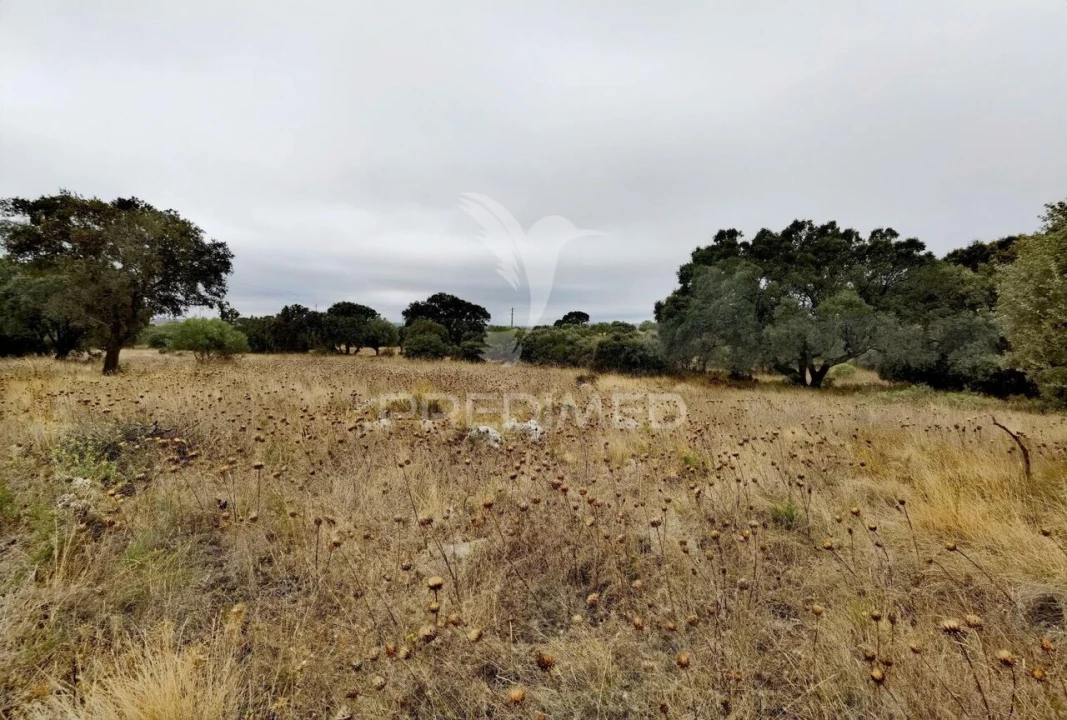 Terreno para Venda em Alcanena e Vila Moreira Foto 15