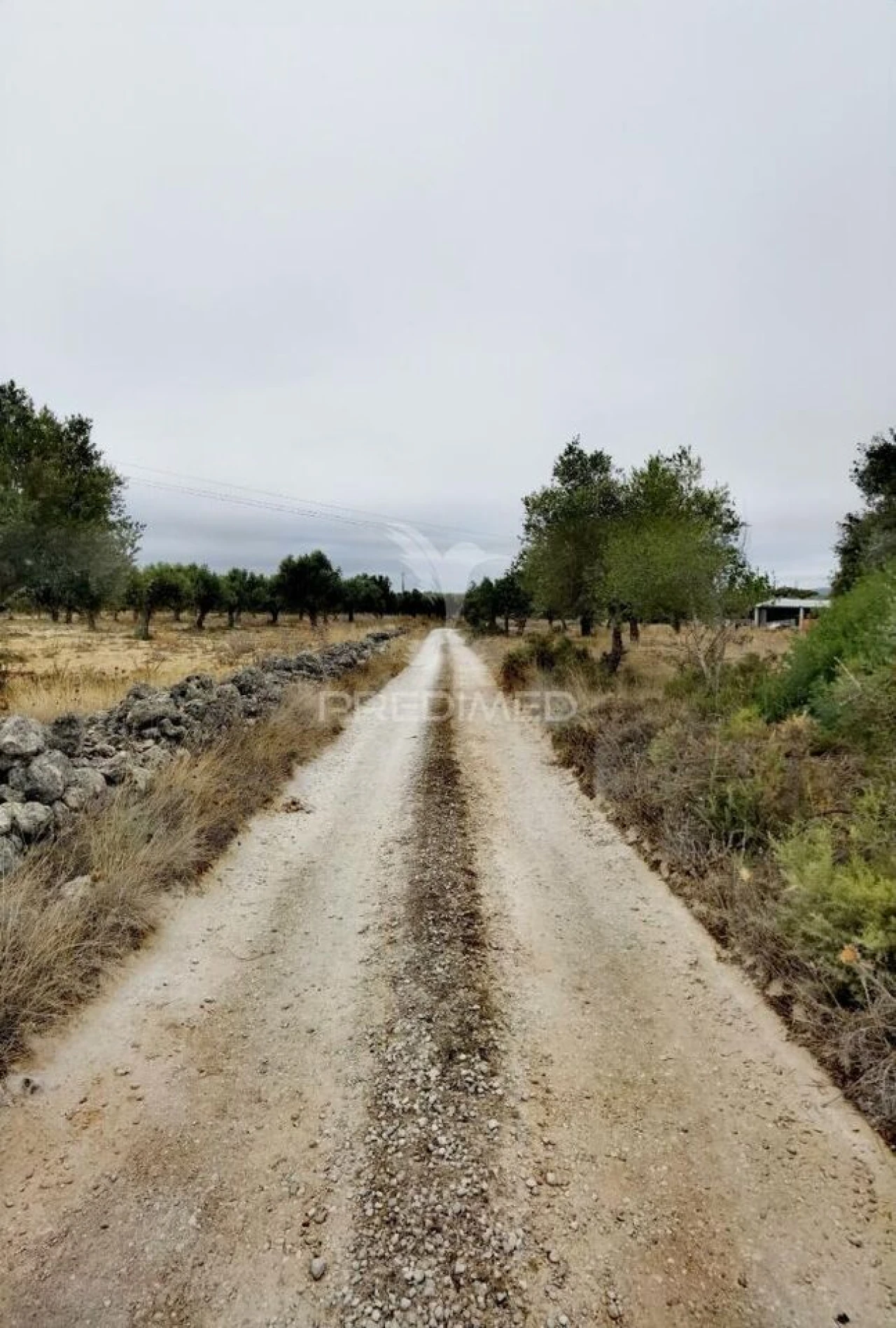 Terreno para Venda em Alcanena e Vila Moreira Foto 5