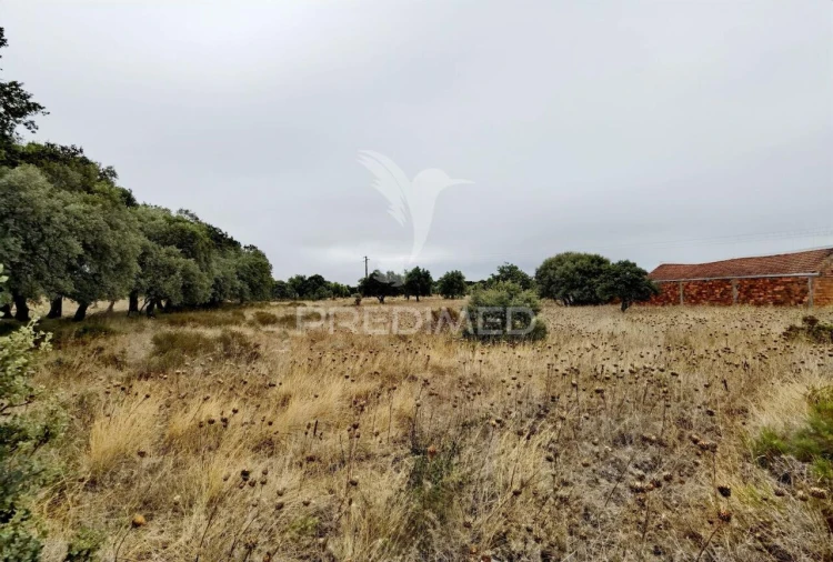 Terreno para Venda em Alcanena e Vila Moreira Foto 13