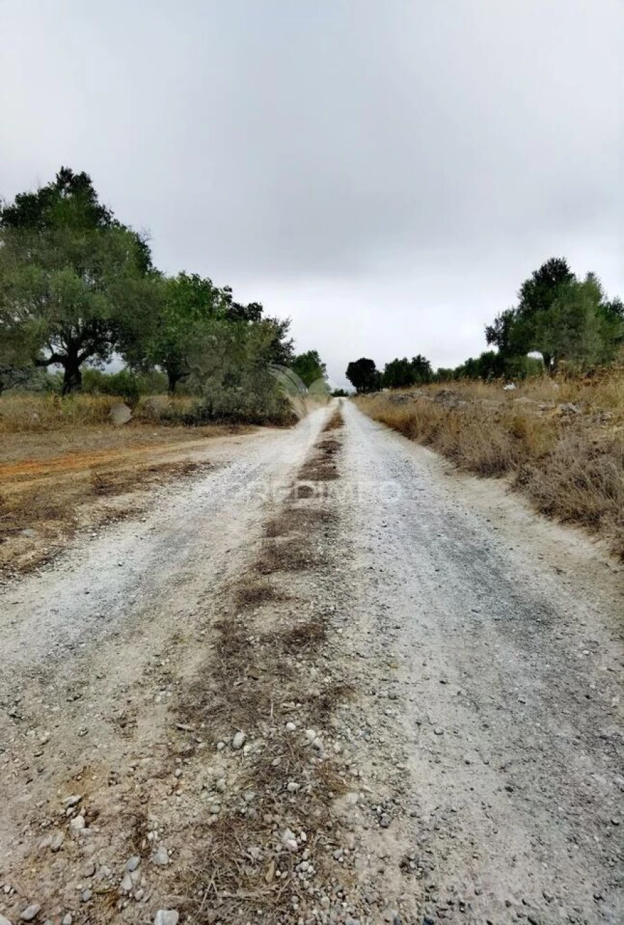 Terreno para Venda em Alcanena e Vila Moreira Foto 8