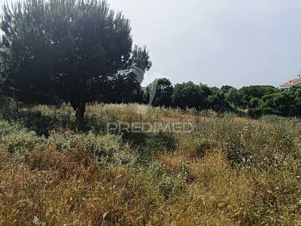 Quinta T2 para Venda em Santiago do Cacém, Santa Cruz e São Bartolomeu da Serra Foto 14