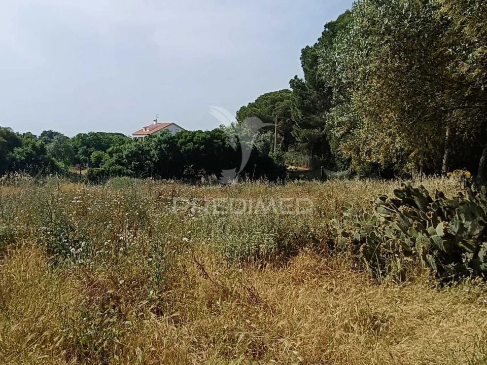 Quinta T2 para Venda em Santiago do Cacém, Santa Cruz e São Bartolomeu da Serra Foto 20