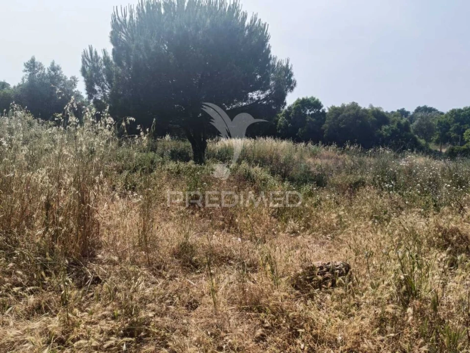 Quinta T2 para Venda em Santiago do Cacém, Santa Cruz e São Bartolomeu da Serra Foto 15
