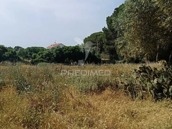 Quinta T2 para Venda em Santiago do Cacém, Santa Cruz e São Bartolomeu da Serra Foto 20