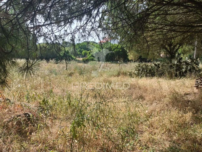 Quinta T2 para Venda em Santiago do Cacém, Santa Cruz e São Bartolomeu da Serra Foto 22
