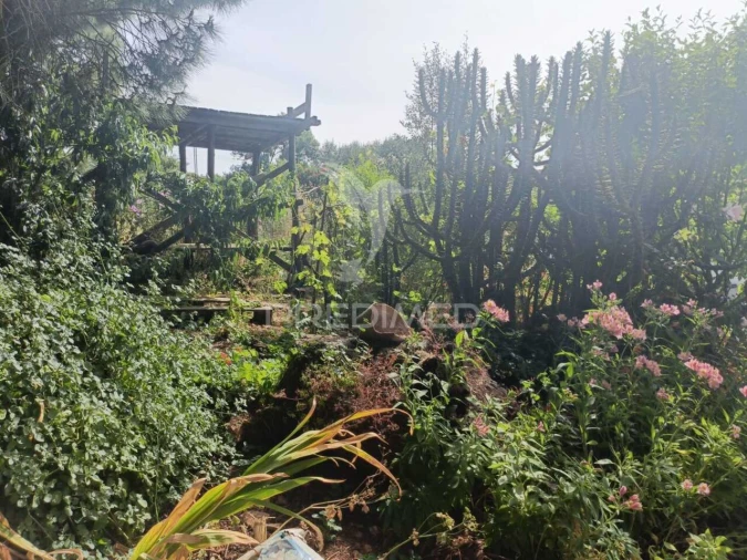 Quinta T2 para Venda em Santiago do Cacém, Santa Cruz e São Bartolomeu da Serra Foto 18