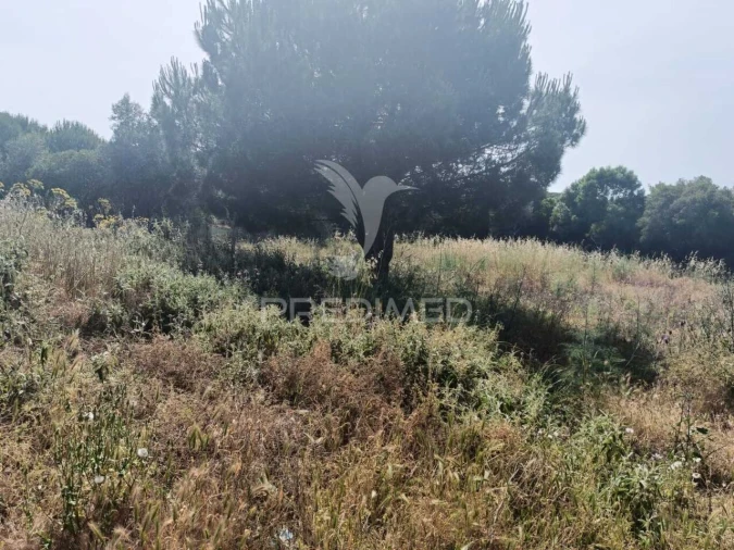 Quinta T2 para Venda em Santiago do Cacém, Santa Cruz e São Bartolomeu da Serra Foto 12