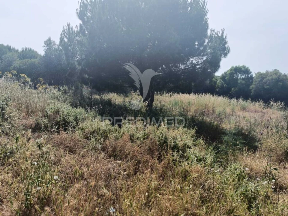 Quinta T2 para Venda em Santiago do Cacém, Santa Cruz e São Bartolomeu da Serra Foto 12