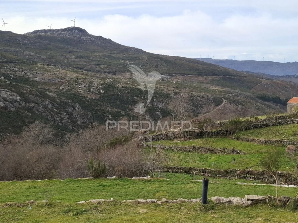 Terreno para Venda em Alhões, Bustelo, Gralheira e Ramires Foto 12
