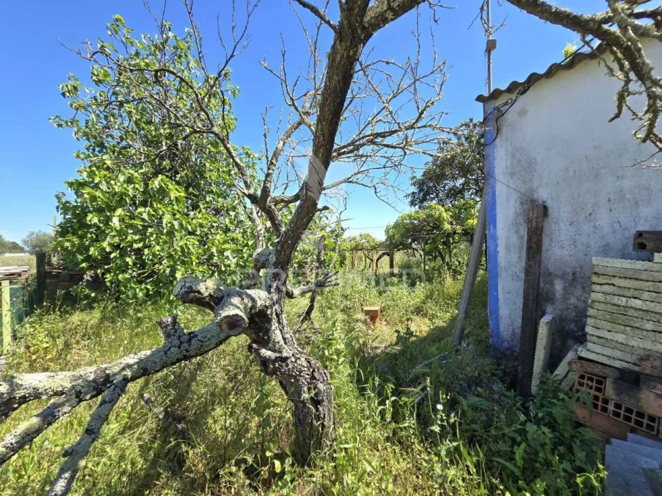 Moradia T2 para Venda em Grândola e Santa Margarida da Serra Foto 15