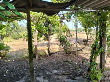 Moradia T2 para Venda em Grândola e Santa Margarida da Serra