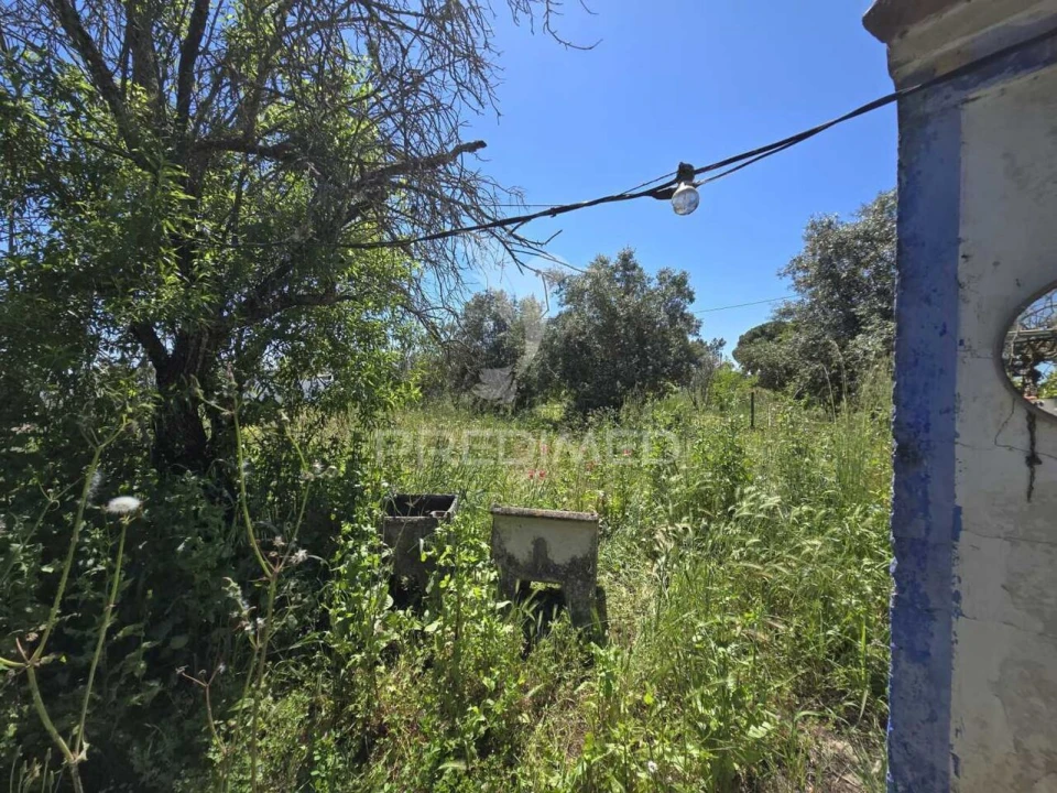 Moradia T2 para Venda em Grândola e Santa Margarida da Serra Foto 31