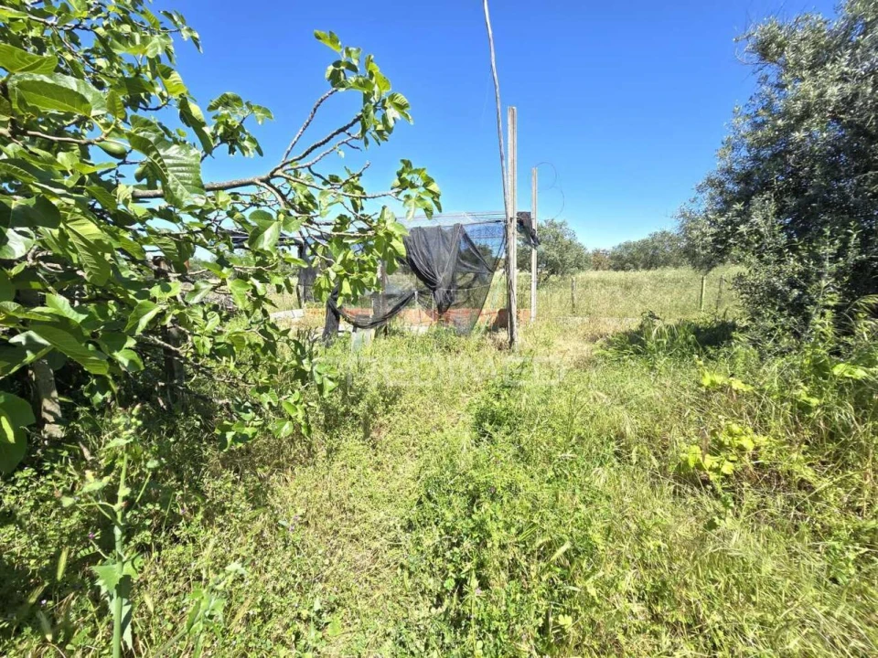Moradia T2 para Venda em Grândola e Santa Margarida da Serra Foto 23