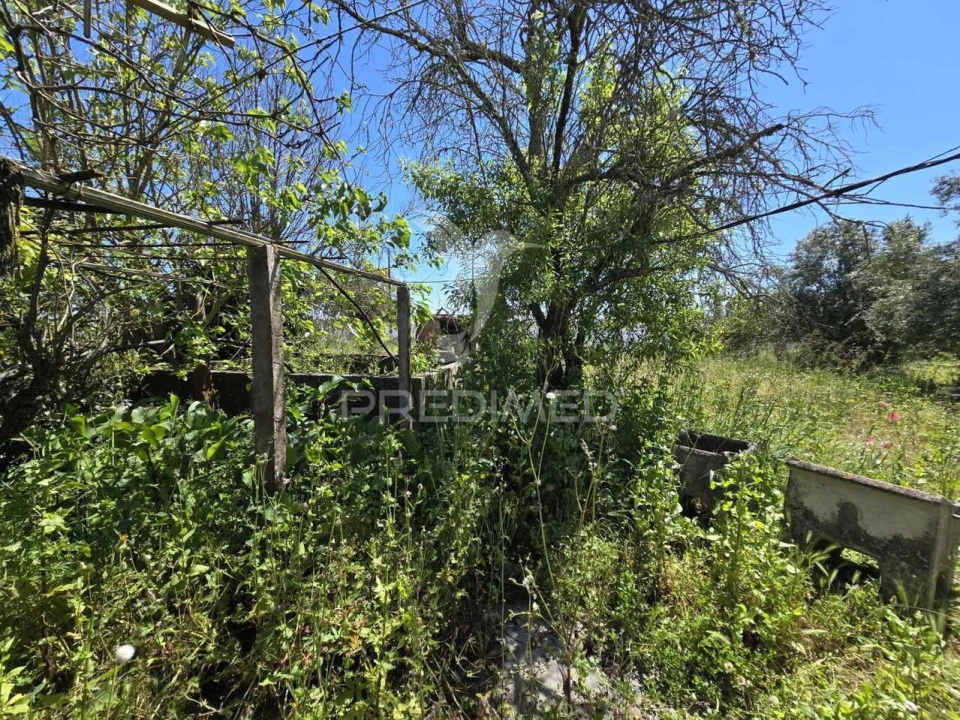 Moradia T2 para Venda em Grândola e Santa Margarida da Serra Foto 32