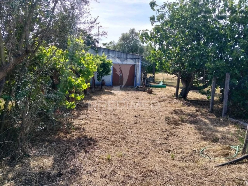 Moradia T2 para Venda em Grândola e Santa Margarida da Serra Foto 22