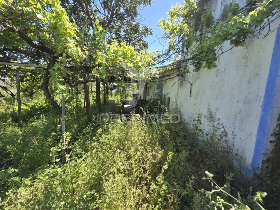 Moradia T2 para Venda em Grândola e Santa Margarida da Serra Foto 35