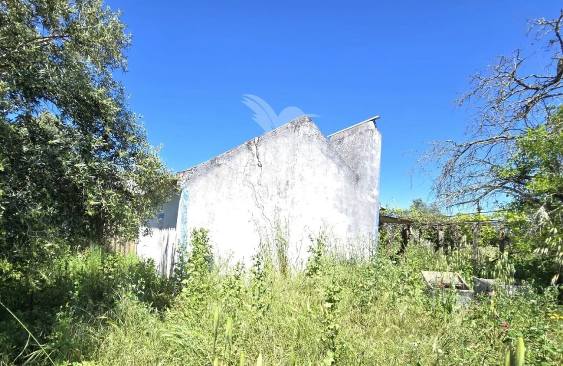 Moradia T2 para Venda em Grândola e Santa Margarida da Serra Foto 26