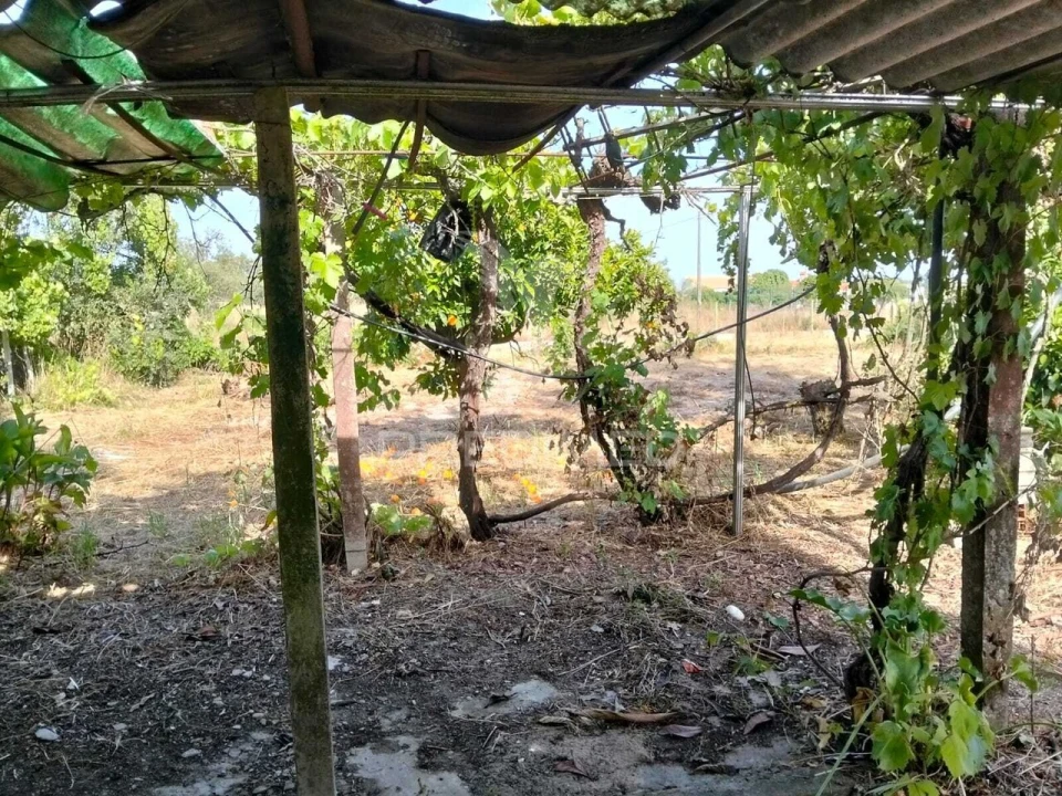 Moradia T2 para Venda em Grândola e Santa Margarida da Serra Foto 24