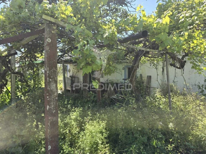 Moradia T2 para Venda em Grândola e Santa Margarida da Serra Foto 2