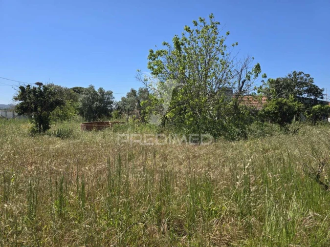 Moradia T2 para Venda em Grândola e Santa Margarida da Serra Foto 21