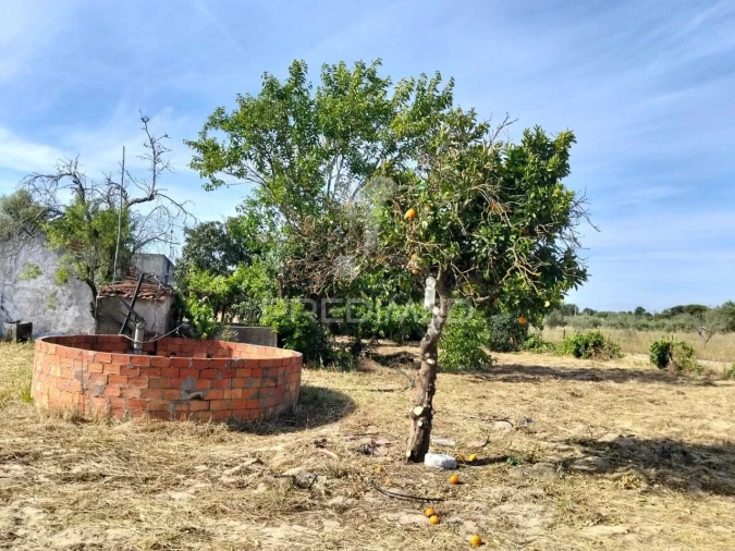 Moradia T2 para Venda em Grândola e Santa Margarida da Serra Foto 35