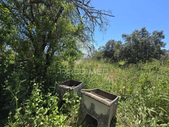 Moradia T2 para Venda em Grândola e Santa Margarida da Serra Foto 30