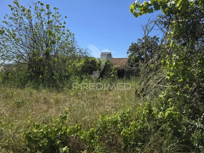 Moradia T2 para Venda em Grândola e Santa Margarida da Serra Foto 36
