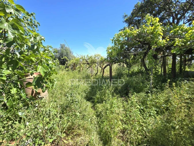 Moradia T2 para Venda em Grândola e Santa Margarida da Serra Foto 22