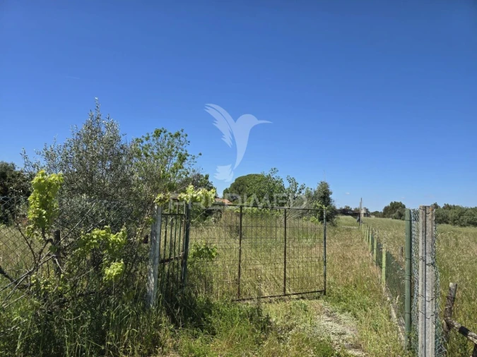 Moradia T2 para Venda em Grândola e Santa Margarida da Serra Foto 38