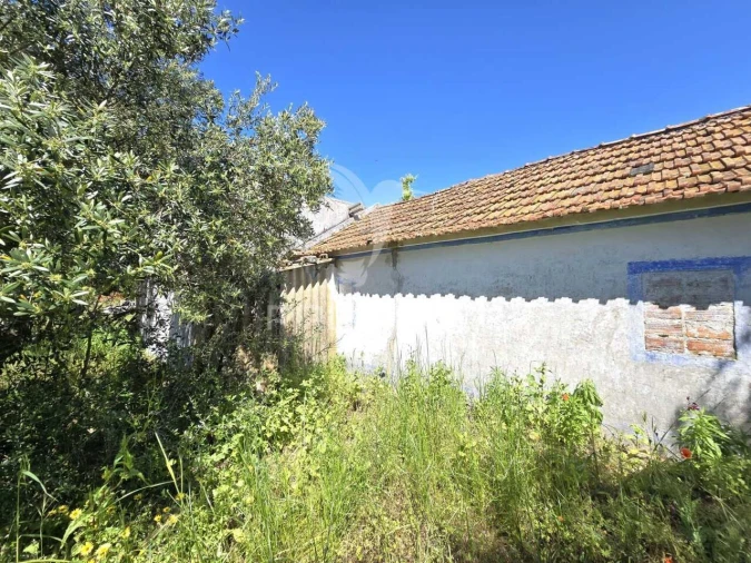 Moradia T2 para Venda em Grândola e Santa Margarida da Serra Foto 14