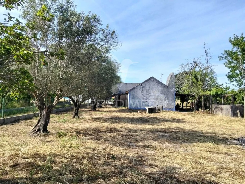 Moradia T2 para Venda em Grândola e Santa Margarida da Serra Foto 2