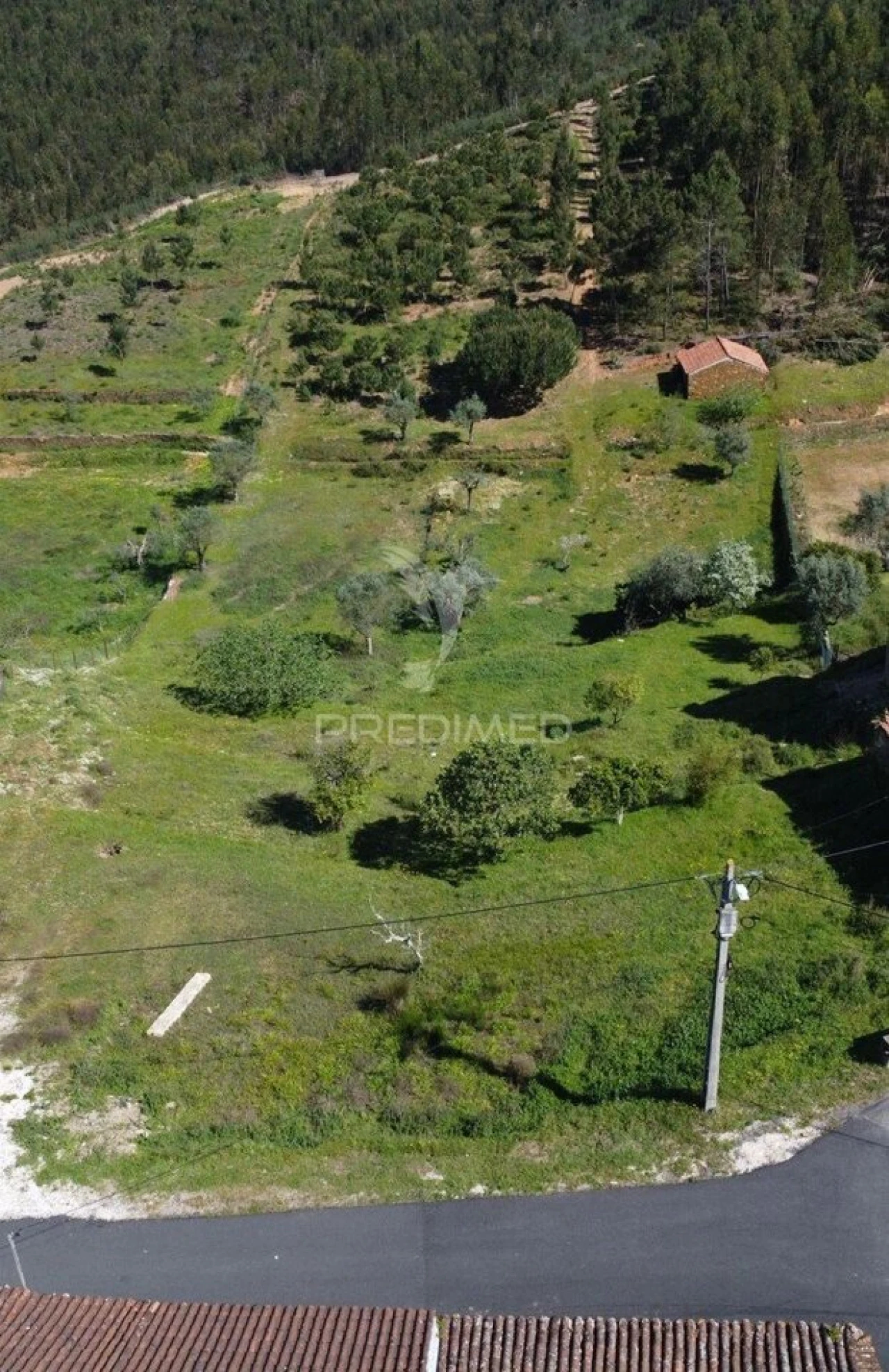 Terreno para Venda em Aldeia do Mato e Souto Foto 1