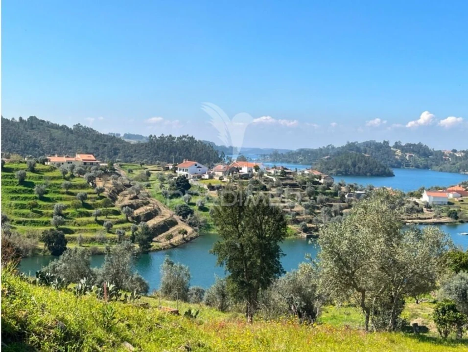 Terreno para Venda em Aldeia do Mato e Souto Foto 1