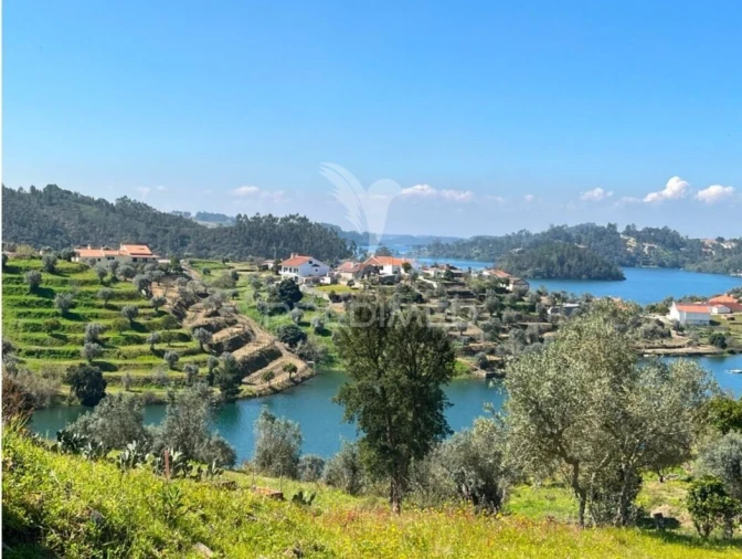 Terreno para Venda em Aldeia do Mato e Souto Foto 1