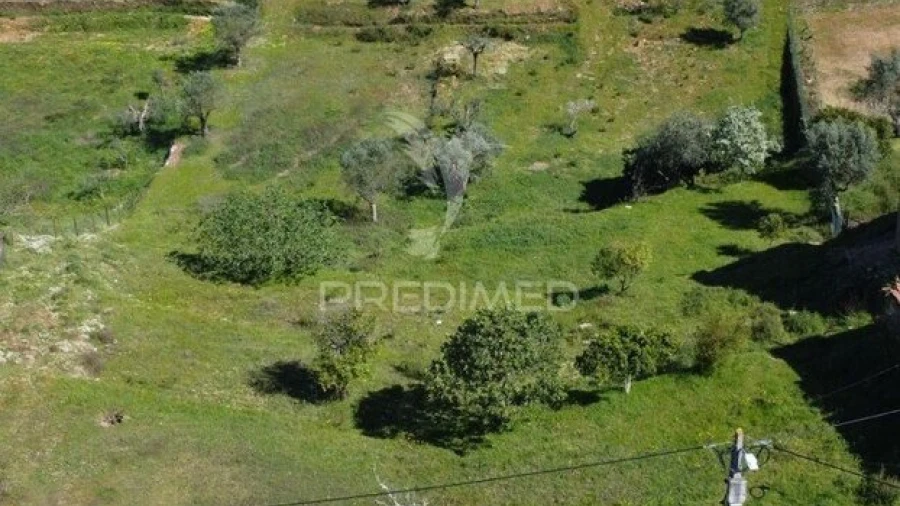 Terreno para Venda em Aldeia do Mato e Souto