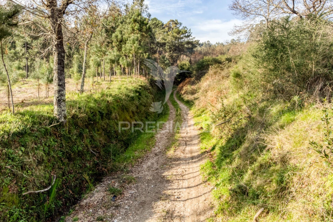 Terreno para Venda em Esqueiros, Nevogilde e Travassós Foto 13